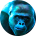 Jungle Gorilla